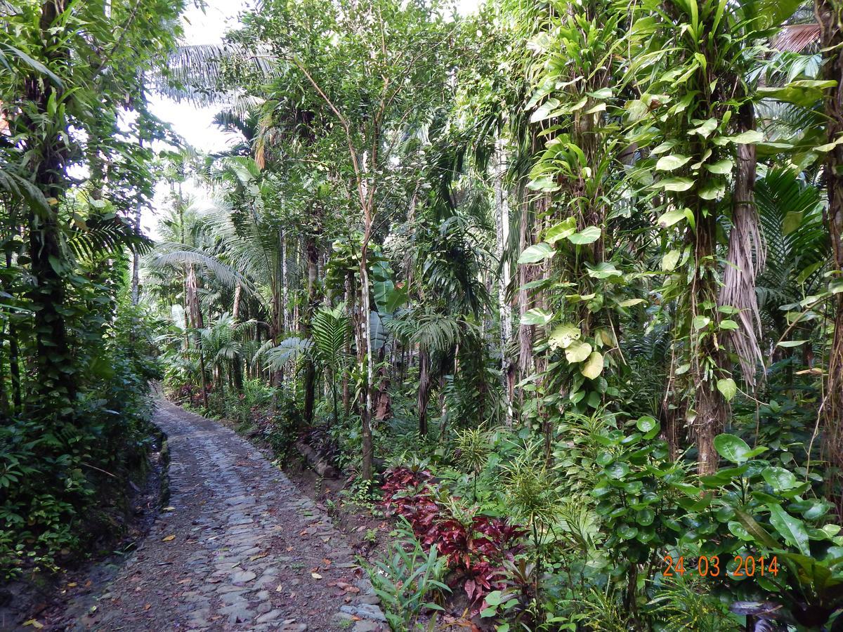 Esa Bay View Hotel Colonia Bagian luar foto